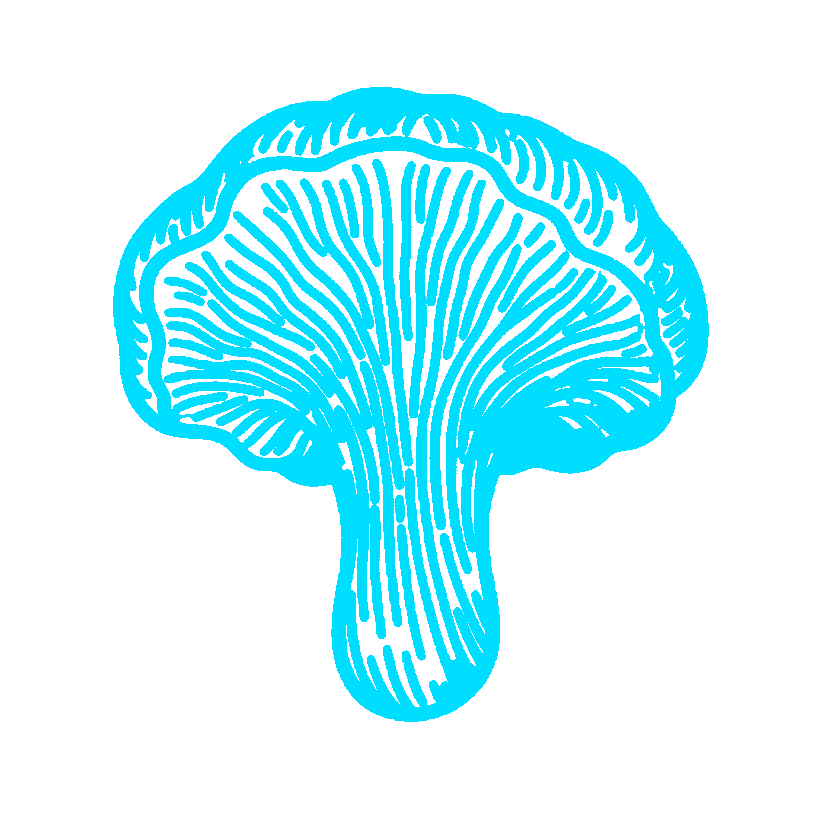 Logo 3